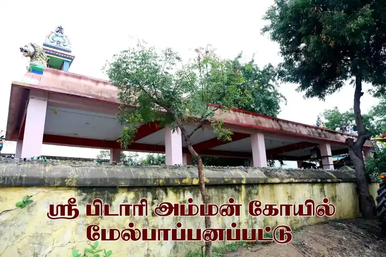 Arulmigu Pidari Amman Temple, Melpapanampattu - 607802 அருள்மிகு பிடாரி திருக்கோயில், Melpapanampattu - 607802, Cuddalore - Ancient Temple Architecture and History Image 2
