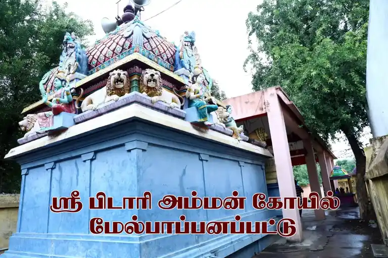 Arulmigu Pidari Amman Temple, Melpapanampattu - 607802 அருள்மிகு பிடாரி திருக்கோயில், Melpapanampattu - 607802, Cuddalore - Ancient Temple Architecture and History Image 3