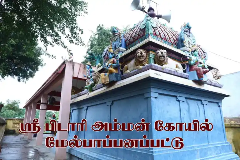 Arulmigu Pidari Amman Temple, Melpapanampattu - 607802 அருள்மிகு பிடாரி திருக்கோயில், Melpapanampattu - 607802, Cuddalore - Ancient Temple Architecture and History Image 4