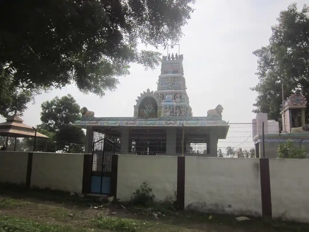 Arulmigu Pidari Amman Temple, Nagaloor - 606203 Temple