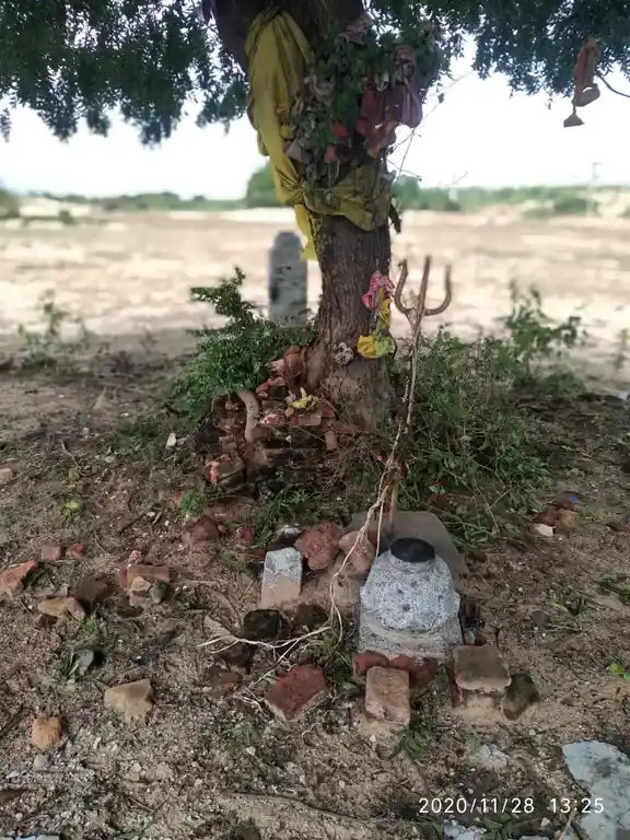 Arulmigu Pidari Amman Temple, Near Company, Puzhuthivakkam - 601204