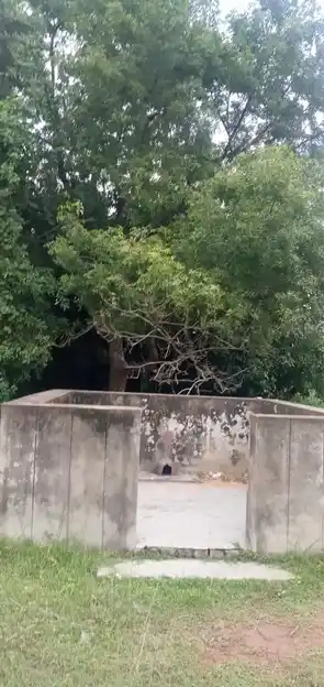 Arulmigu Pidari Amman Temple, Near Lake View, Sirupuzhalpet - 601201