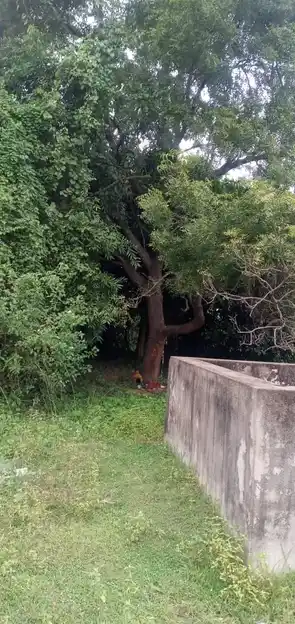 Arulmigu Pidari Amman Temple, Near Lake View, Sirupuzhalpet - 601201 அருள்மிகு பிடாரி அம்மன் திருக்கோயில், Near Lake View, சிறுபுழல்பேட்டை - 601201, Tiruvallur - Ancient Temple Architecture and History Image 2