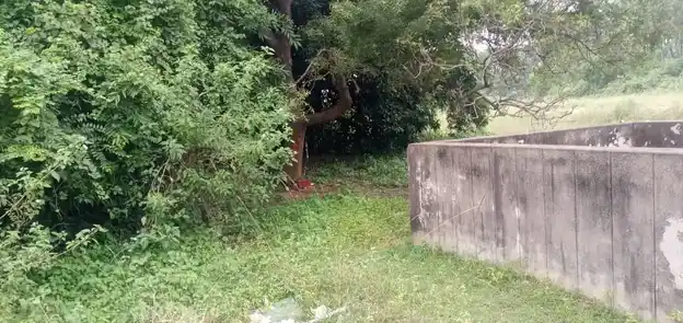 Arulmigu Pidari Amman Temple, Near Lake View, Sirupuzhalpet - 601201 அருள்மிகு பிடாரி அம்மன் திருக்கோயில், Near Lake View, சிறுபுழல்பேட்டை - 601201, Tiruvallur - Ancient Temple Architecture and History Image 3