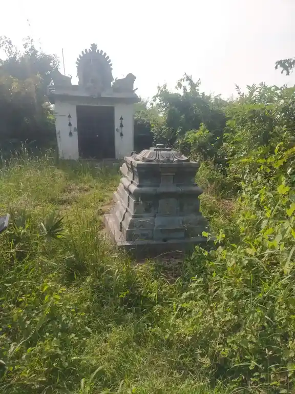 Arulmigu Pidari Amman Temple, Near Lake View, Vaniyamalli - 601201 அருள்மிகு பிடாரி அம்மன் திருக்கோயில், Near Lake View, Vaniyamalli - 601201, Tiruvallur - Ancient Temple Architecture and History Image 3