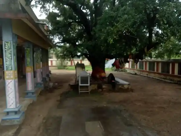 Arulmigu Pidari Amman Temple, Olugamangalam - 630204 Arulmigu Pidari Amman Temple, Olugamangalam - 630204, Sivagangai - Ancient Temple Architecture and History Image 3