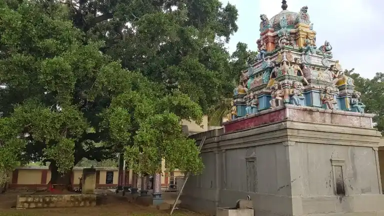 Arulmigu Pidari Amman Temple, Olugamangalam - 630204 Arulmigu Pidari Amman Temple, Olugamangalam - 630204, Sivagangai - Ancient Temple Architecture and History Image 5