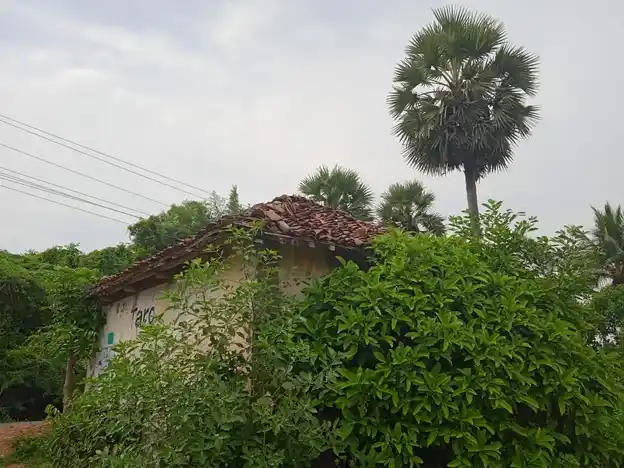 Arulmigu Pidari Amman Temple, Sembiyankomal - 609805