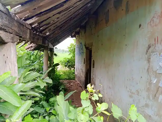 Arulmigu Pidari Amman Temple, Sembiyankomal - 609805 அருள்மிகு பிடாரியம்மன் திருக்கோயில், செம்பியன்கோமல் - 609805, Mayiladuthurai - Ancient Temple Architecture and History Image 2