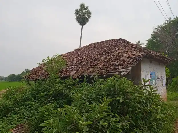 Arulmigu Pidari Amman Temple, Sembiyankomal - 609805 அருள்மிகு பிடாரியம்மன் திருக்கோயில், செம்பியன்கோமல் - 609805, Mayiladuthurai - Ancient Temple Architecture and History Image 4