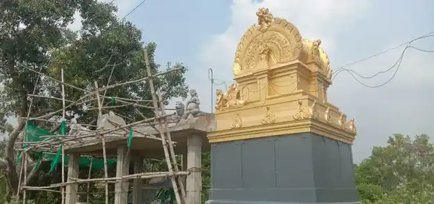 Arulmigu Pidari Amman Temple, Sengudi - 609805 Temple