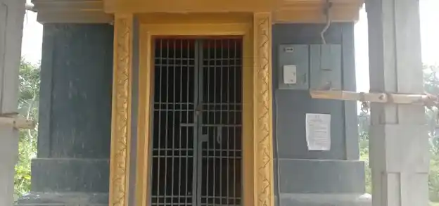 Arulmigu Pidari Amman Temple, Sengudi - 609805 அருள்மிகு பிடாரி திருக்கோயில், செங்குடி - 609805, Mayiladuthurai - Ancient Temple Architecture and History Image 7