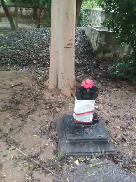 Arulmigu Pidari Amman Temple, Thoravalur - 606003