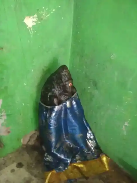 Arulmigu Pidari Amman Temple, Thoravalur - 606003 அருள்மிகு. பிடாரி திருக்கோயில், Thoravalur - 606003, Cuddalore - Ancient Temple Architecture and History Image 7