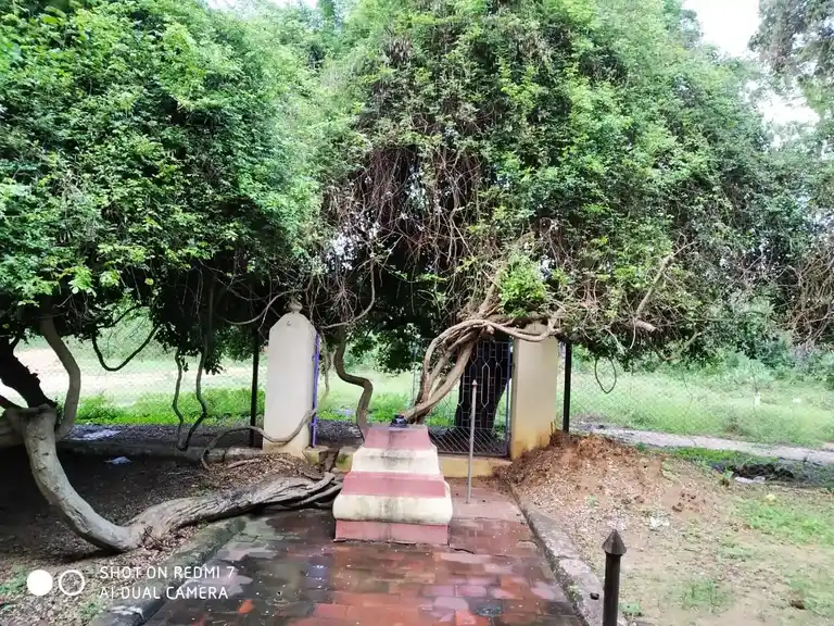 Arulmigu Pidari Anjathamman Temple, Pidari Anjathamman Templearea, Vembedu - 601204 அருள்மிகு பிடாரி அஞ்சாத்தம்மன் திருக்கோயில், Pidari Anjathamman Templearea, Vembedu - 601204, Tiruvallur - Ancient Temple Architecture and History Image 5