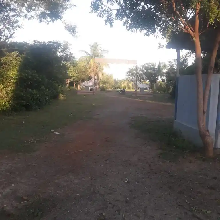 Arulmigu Pidari Ayyanar Temple, Mullangurichi - 622304 அருள்மிகு பிடாரி அய்யனார் திருக்கோயில், Mullangurichi - 622304, Pudukkottai - Ancient Temple Architecture and History Image 4