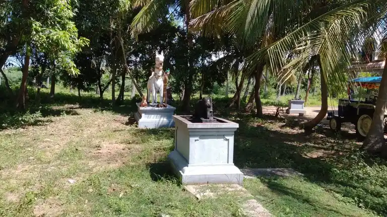 Arulmigu Pidari Ayyanar Temple, Thukkachi - 612602 அருள்மிகு பிடாரியம்மன் திருக்கோயில், Thukkachi - 612602, Thanjavur - Ancient Temple Architecture and History Image 3