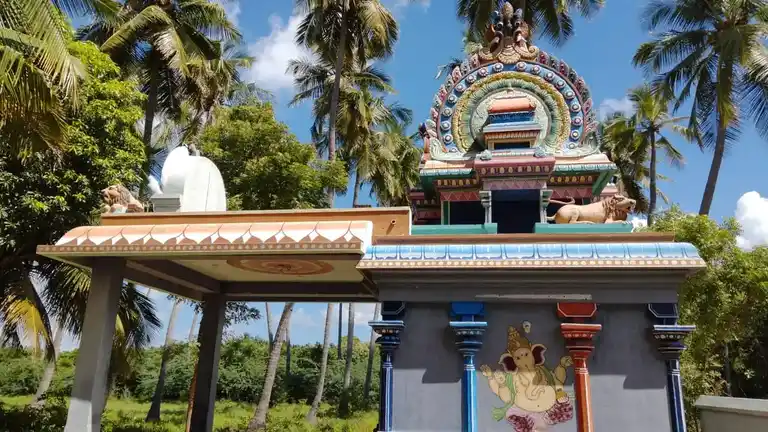 Arulmigu Pidari Ayyanar Temple, Thukkachi - 612602 அருள்மிகு பிடாரியம்மன் திருக்கோயில், Thukkachi - 612602, Thanjavur - Ancient Temple Architecture and History Image 7