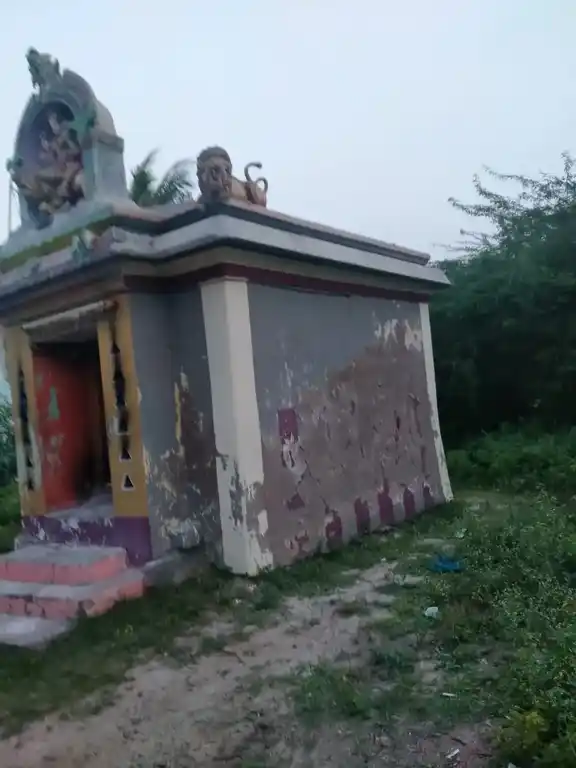 Arulmigu Pidari Ellaiamman Temple, Athur - 603310 அருள்மிகு பிடாரி எல்லயம்மன் திருக்கோயில், Athur - 603310, Chengalpattu - Ancient Temple Architecture and History Image 3