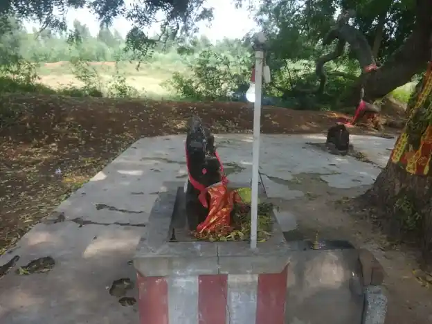 Arulmigu Pidari Ettiyamman Temple, Ayakkunnam - 603310 அருள்மிகு பிடாரி எட்டியம்மன் திருக்கோயில், Ayakkunnam - 603310, Chengalpattu - Ancient Temple Architecture and History Image 3