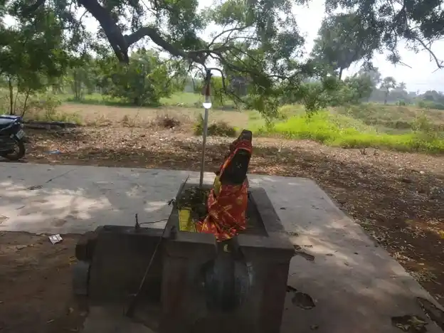 Arulmigu Pidari Ettiyamman Temple, Ayakkunnam - 603310 அருள்மிகு பிடாரி எட்டியம்மன் திருக்கோயில், Ayakkunnam - 603310, Chengalpattu - Ancient Temple Architecture and History Image 4