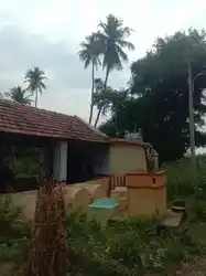 Arulmigu Pidari Ilamandiyamman Temple, Sirukambur - 621213 அருள்மிகு பிடாரி இளமாண்டியம்மன் திருக்கோயில், Sirukambur - 621213, Thiruchirappalli - Ancient Temple Architecture and History Image 2