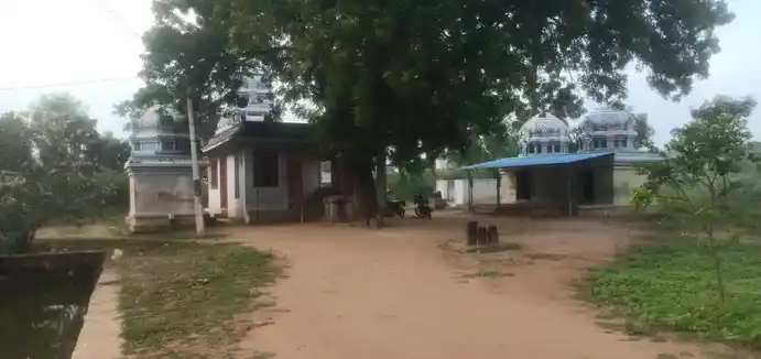 Arulmigu Pidari Illamaiyamman Temple, Perungudi - 620102