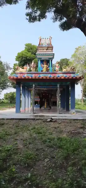 Arulmigu Pidari Iyyanar Temple, Anganoor, Anganoor - 606107 அருள்மிகு பிடாரி திருக்கோயில், Anganoor, Anganoor - 606107, Kallakurichi - Ancient Temple Architecture and History Image 4