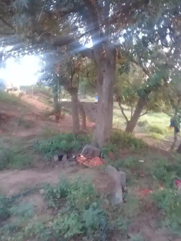 Arulmigu Pidari Iyyanar Temple, Eravalam - 605757 Temple