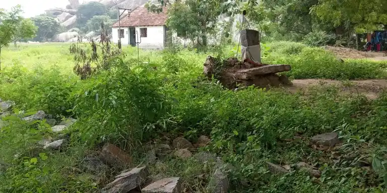 Arulmigu Pidari Iyyanar Temple, Maathur Thirukai - 606207