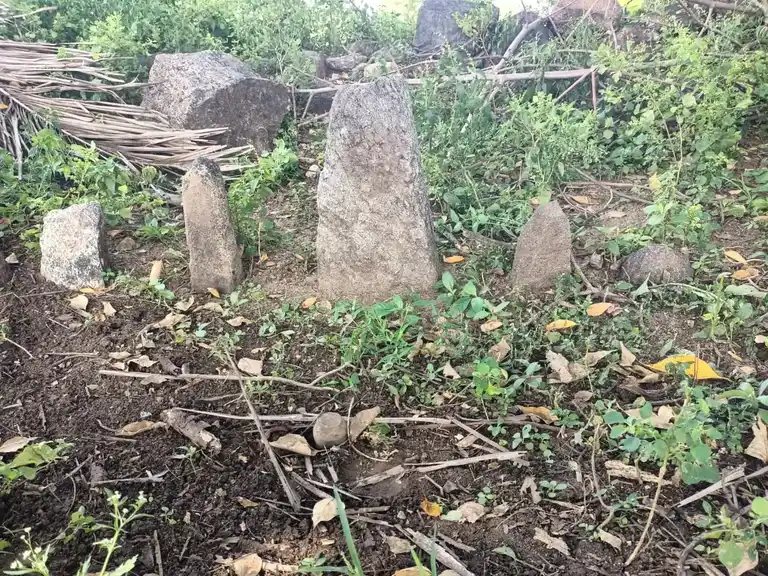 Arulmigu Pidari Iyyanar Temple, Veppanatham - 636112