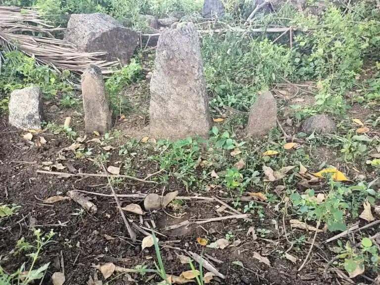 Arulmigu Pidari Iyyanar Temple, Veppanatham - 636112 அருள்மிகு பிடாரி அய்யனார் திருக்கோயில், Veppanatham - 636112, Salem - Ancient Temple Architecture and History Image 4