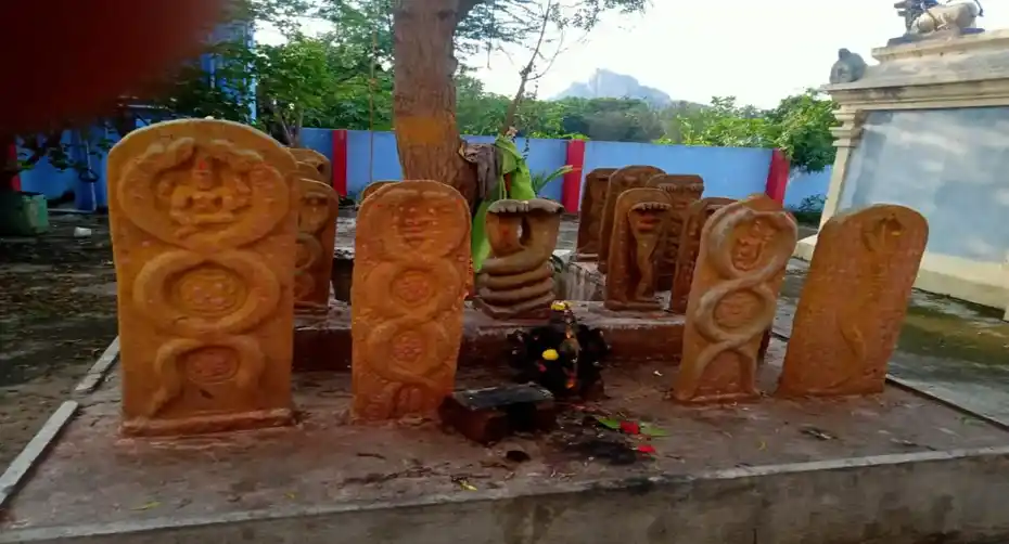 Arulmigu Pidari Kaaliyamman Temple, Kilalathur - 635803 அருள்மிகு பிடாரி காளியம்மன் திருக்கோயில், கீழாலத்தூர் - 635803, Vellore - Ancient Temple Architecture and History Image 3