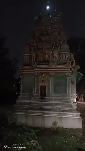 Arulmigu Pidari Kaliyamman Temple, Karapakkam, Chennai - 600096 அருள்மிகு பிடாரி காளியம்மன் திருக்கோயில், காரப்பாக்கம், சென்னை - 600096, Chennai - Ancient Temple Architecture and History Image 3