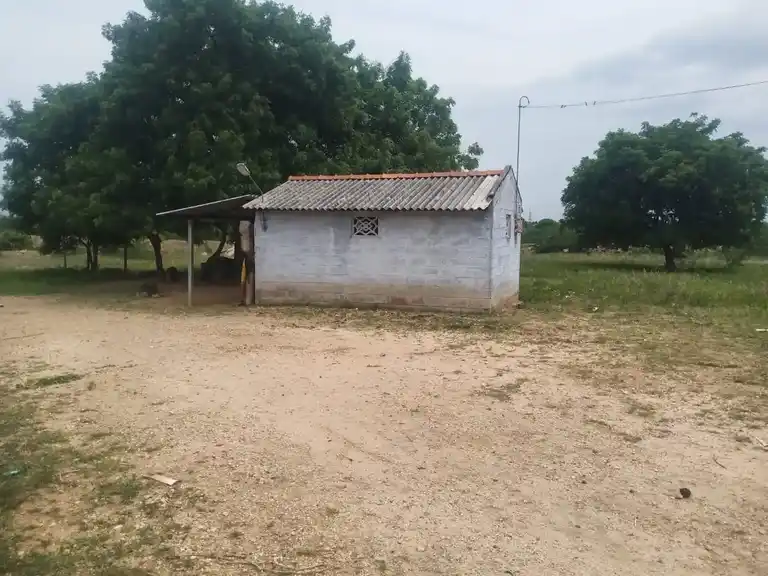 Arulmigu Pidari Kaliyamman Temple, Pidaramangalam - 621207 Arulmigu Pidari Kaliyamman Temple, பிடாரமங்கலம் - 621207, Thiruchirappalli - Ancient Temple Architecture and History Image 2