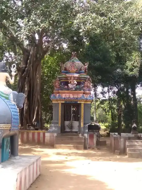 Arulmigu Pidari Kolochiyamman Temple, Thirumanamedu - 621218