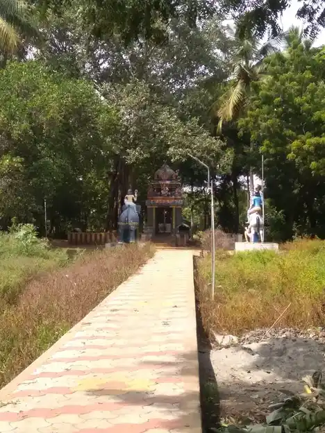 Arulmigu Pidari Kolochiyamman Temple, Thirumanamedu - 621218 அருள்மிகு பிடாரி கோலாச்சியம்மன் திருக்கோயில், திருமணமேடு - 621218, Thiruchirappalli - Ancient Temple Architecture and History Image 2
