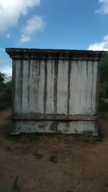 Arulmigu Pidari Kozhindhiyamman Temple, Madavilakam - 603312 அருள்மிகு பிடாரி கொழுந்தியம்மன் திருக்கோயில், Madavilakam - 603312, Chengalpattu - Ancient Temple Architecture and History Image 2