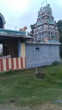 Arulmigu Pidari Kuzhaliyamman Temple, Vilvarayanallur - 603306 அருள்மிகு பிடாரி குழலியம்மன் திருக்கோயில், Vilvarayanallur - 603306, Chengalpattu - Ancient Temple Architecture and History Image 4