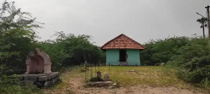 Arulmigu Pidari Mariyamman Temple, Sindhamanipatty - 621301 அருள்மிகு பிடாரி மாரியம்மன் திருக்கோயில்,  - 621301, Karur - Ancient Temple Architecture and History Image 3