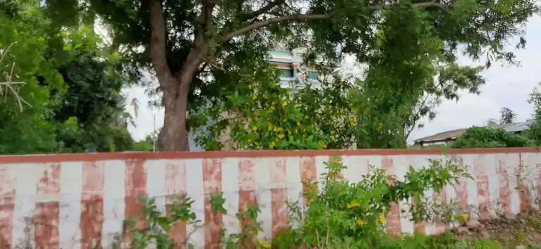 Arulmigu Pidari Mundhiriyamman Temple, Neikuppai - 621111 Arulmigu Pidari Mundhiriyamman Temple, Neikuppai - 621111, Thiruchirappalli - Ancient Temple Architecture and History Image 2