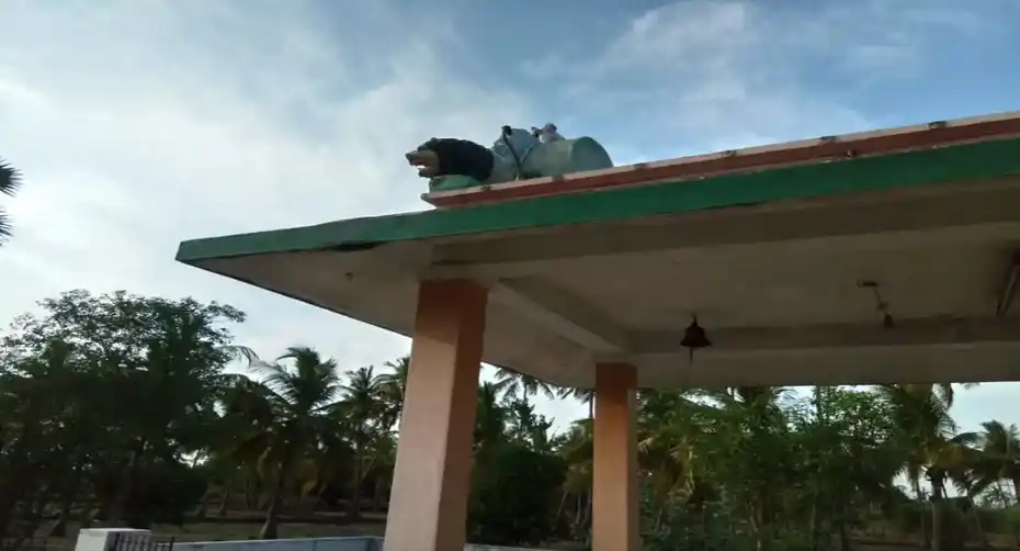 Arulmigu Pidari Nagalamman Temple, Angarakuppam - 632202 அருள்மிகு பிடாரி நாகாலம்மன் திருக்கோயில், அங்காரங்குப்பம் - 632202, Vellore - Ancient Temple Architecture and History Image 5