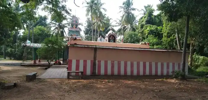 Arulmigu Pidari Nanjukonda Kaliamman Temple, Nanjukondapuram - 632312 அருள்மிகு பிடாரி நஞ்சுகொண்ட காளியம்மன் திருக்கோயில், நஞ்சுகொண்டா புரம் - 632312, Vellore - Ancient Temple Architecture and History Image 3