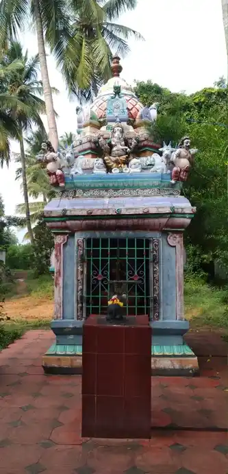 Arulmigu Pidari Nanjukonda Kaliamman Temple, Nanjukondapuram - 632312 அருள்மிகு பிடாரி நஞ்சுகொண்ட காளியம்மன் திருக்கோயில், நஞ்சுகொண்டா புரம் - 632312, Vellore - Ancient Temple Architecture and History Image 4