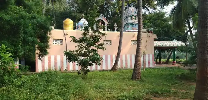 Arulmigu Pidari Nanjukonda Kaliamman Temple, Nanjukondapuram - 632312 அருள்மிகு பிடாரி நஞ்சுகொண்ட காளியம்மன் திருக்கோயில், நஞ்சுகொண்டா புரம் - 632312, Vellore - Ancient Temple Architecture and History Image 5