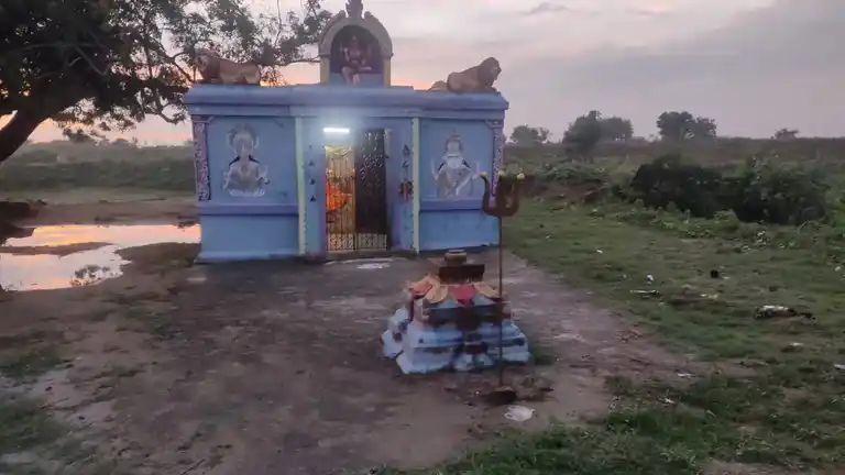 Arulmigu Pidari Ponniamman Temple, Ariyapakkam - 602001 அருள்மிகு பிடாரி பொன்னியம்மன் திருக்கோயில், ஆரியப்பாக்கம் - 602001, Tiruvallur - Ancient Temple Architecture and History Image 3