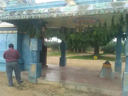 Arulmigu Pidari Ponniyamman Temple, Agili - 603306