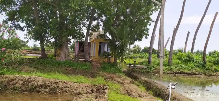 Arulmigu Pidari Satachiyamman, Aadhinattham - 621313