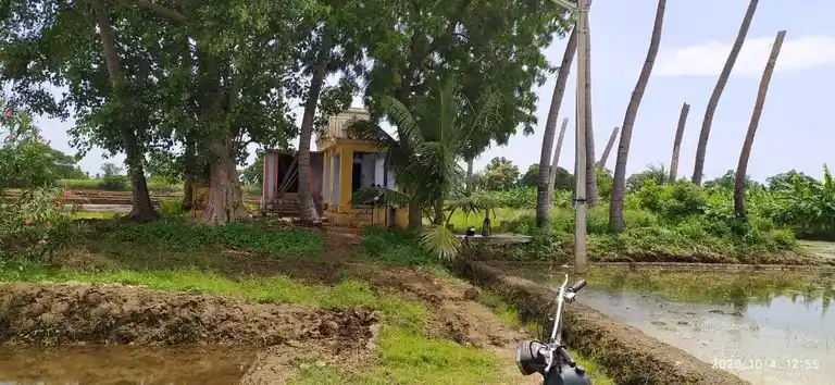 Arulmigu Pidari Satachiyamman, Aadhinattham - 621313 அருள்மிகு பிடாரி சடச்சியம்மன் திருக்கோயில், Aadhinattham - 621313, Karur - Ancient Temple Architecture and History Image 3