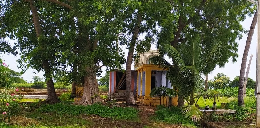 அருள்மிகு பிடாரி சடச்சியம்மன் திருக்கோயில், Aadhinattham - 621313 - Main View